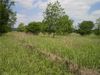 Brazos Rock Road photo